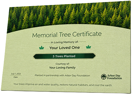 Plant Trees in Memory of Flora Mae Robinson